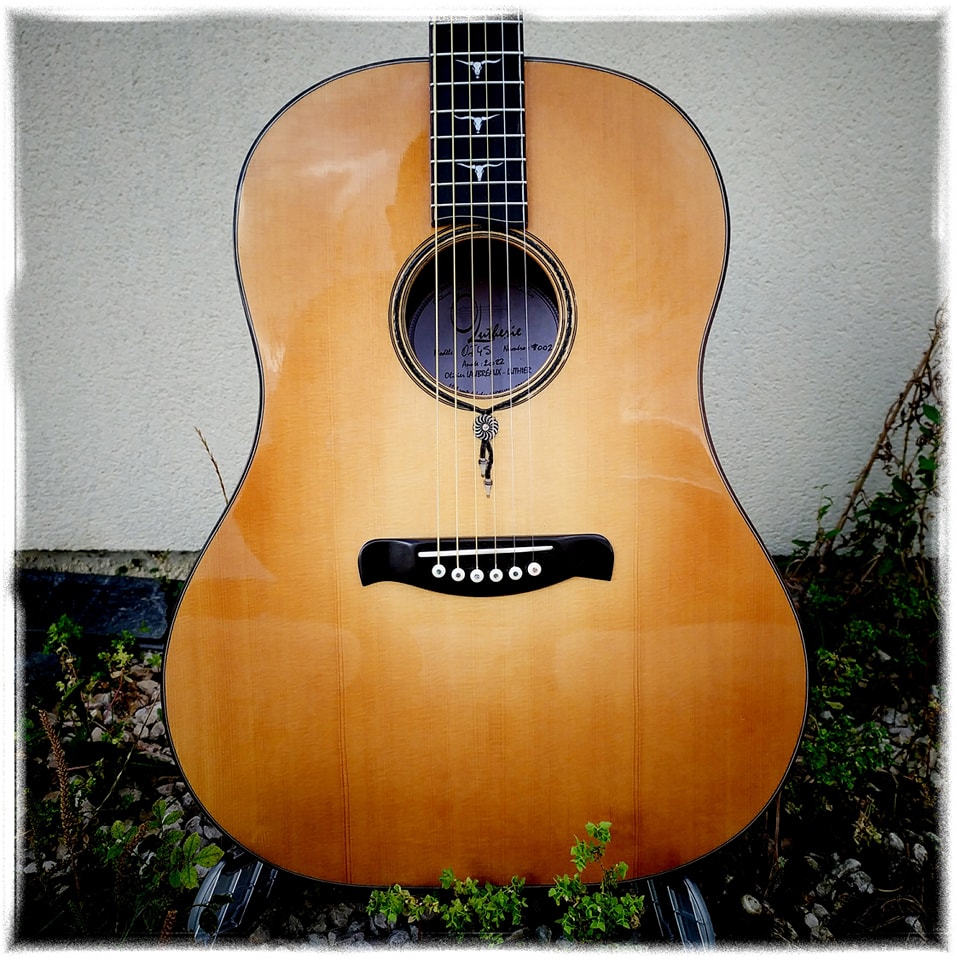 Artisan Luthier Guitare 30676710