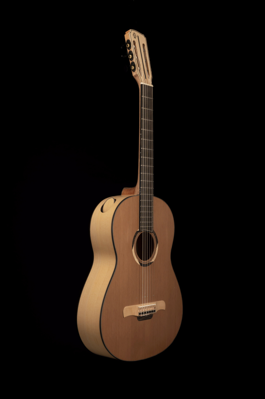 Artisan Luthier Guitare Folk3-10