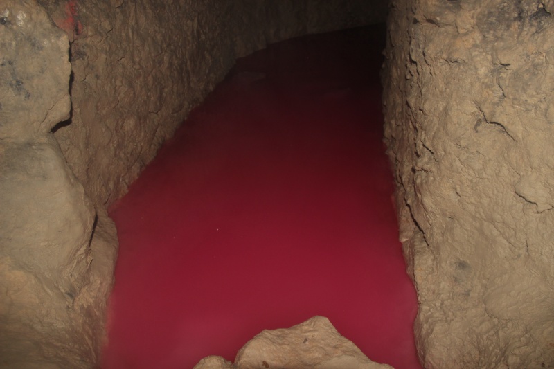 les catacombes de paris pour remplacer les mines de dofus  Img_1514