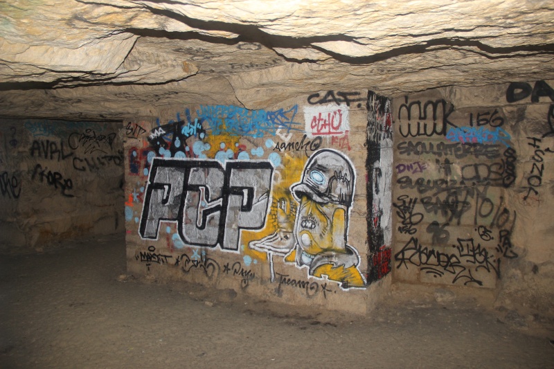 les catacombes de paris pour remplacer les mines de dofus  Img_1611