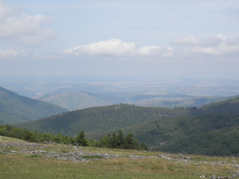 Mont Aigoual 3_mont15