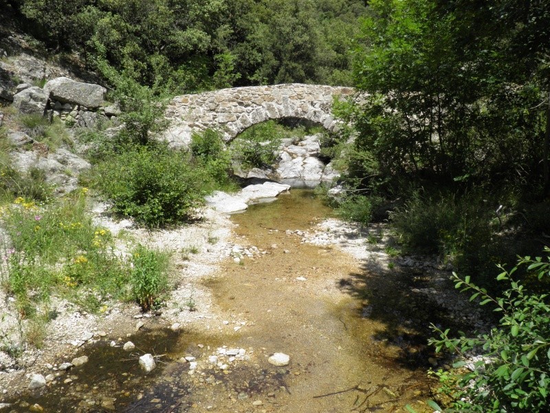 environ de st marcial (30)  et cirque de Navacelles P7081410