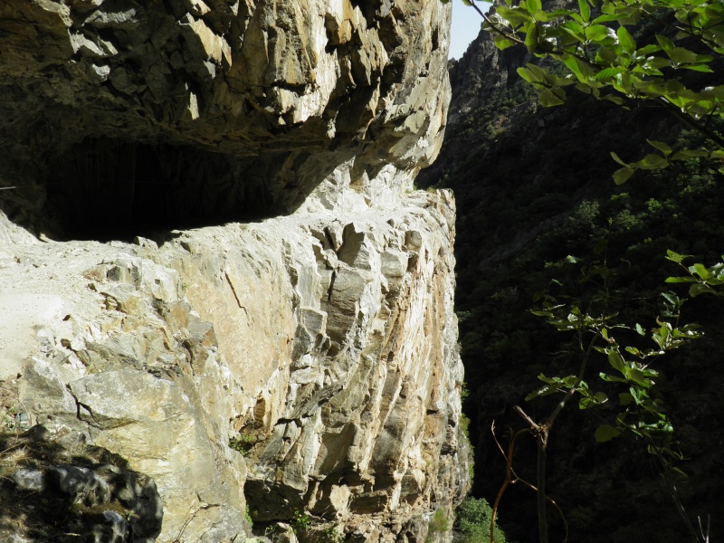 Les Pyrénées  P8180013