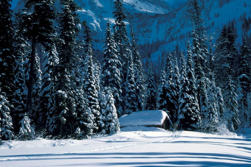 A Winter Poem from Glacier National Park 10059910