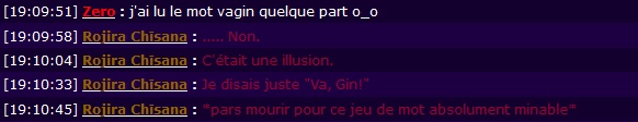 Les perles de la ChatBox ~ - Page 3 Va_gin10