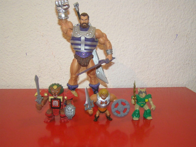 MASTERS OF THE UNIVERSE CLASSIC (MOTUC) - Page 16 P8040011