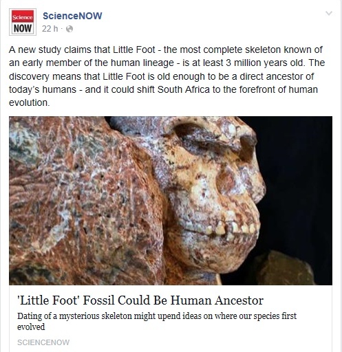 'Little Foot' Fossil Could Be Human Ancestor Temp260