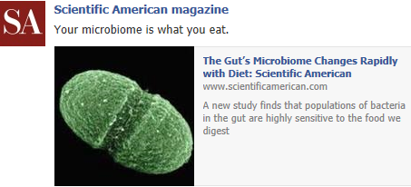 The Gut’s Microbiome Changes Rapidly with Diet  Temp302