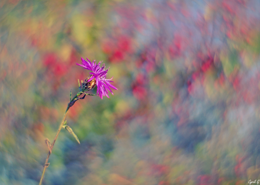 Photos du Jour 09/10/2018  Imgp0014