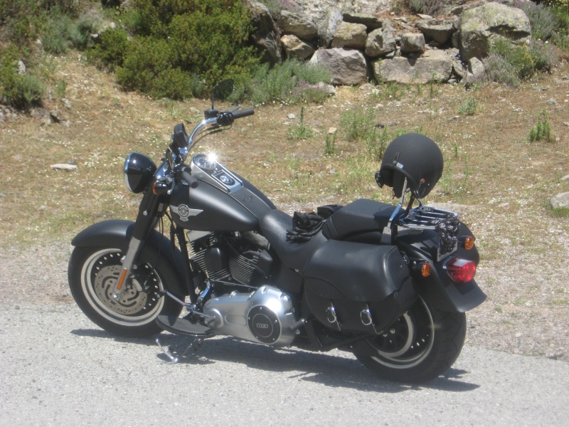 FAT BOY COMBIEN  SUR LE FORUM PASSION-HARLEY - Page 7 Img_co11