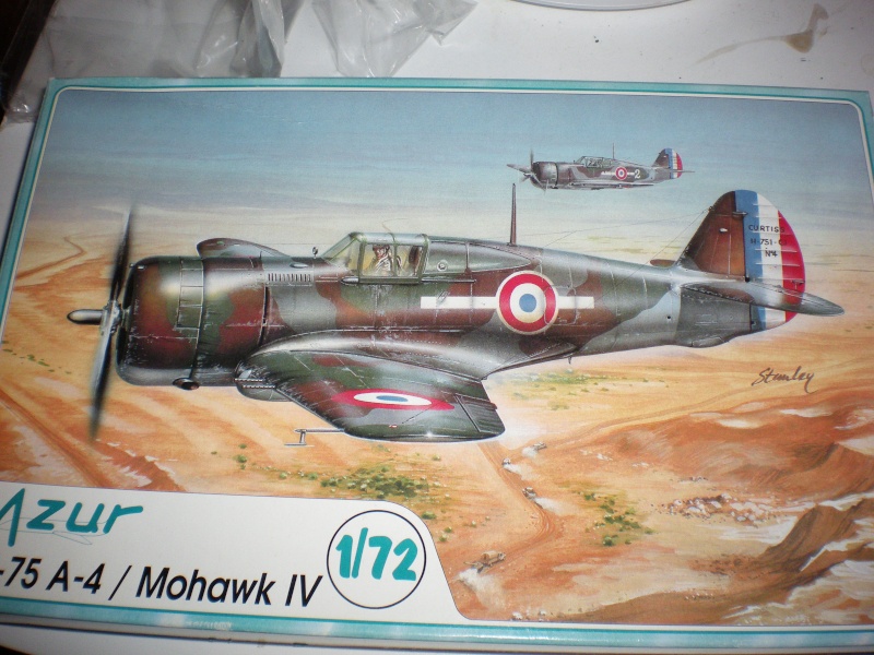 1/72 - CURTISS H75 MOHAWK - AZUR - MONTAGE TERMINE Imgp0344