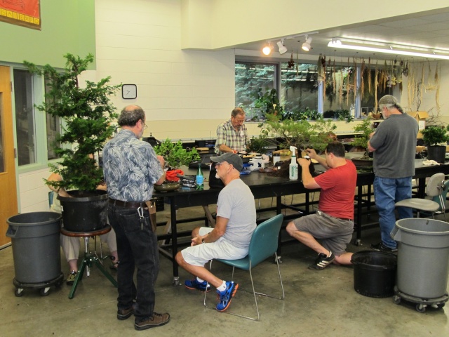 American Bonsai at the NC Arboretum - Page 5 R10