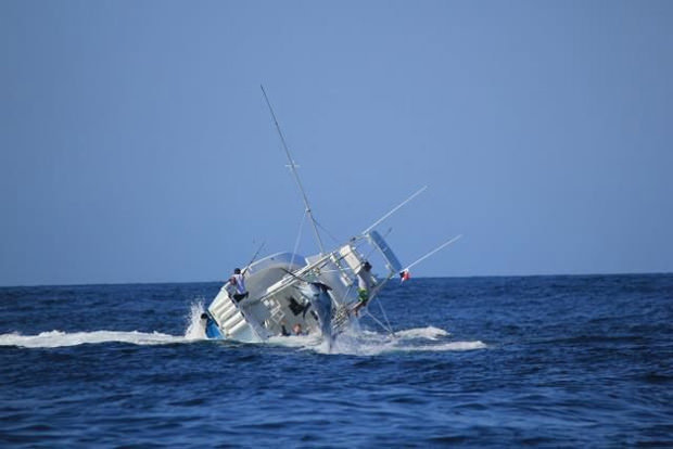 Un marlin qui coule un bateau, ça donne ça ! Marlin11