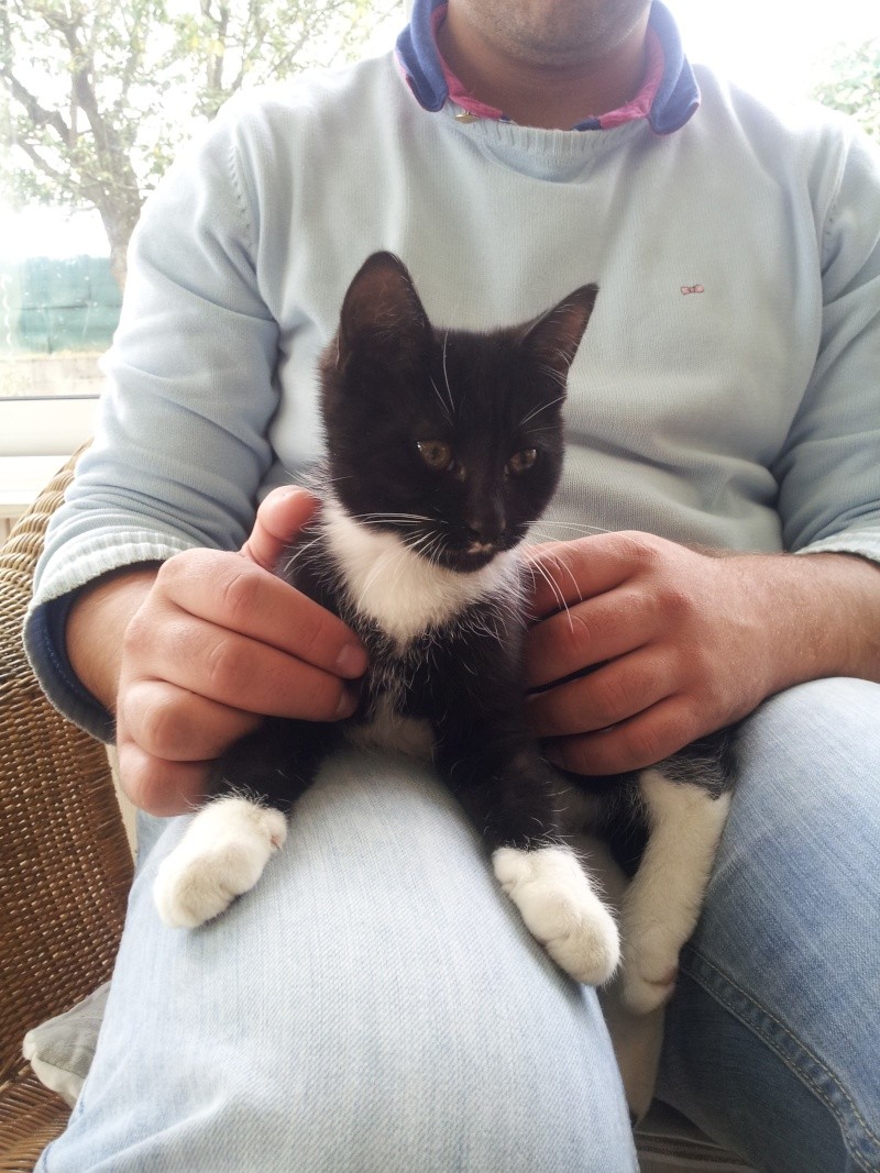 Charlie, le nouveau poto d'Hapy. 20131012