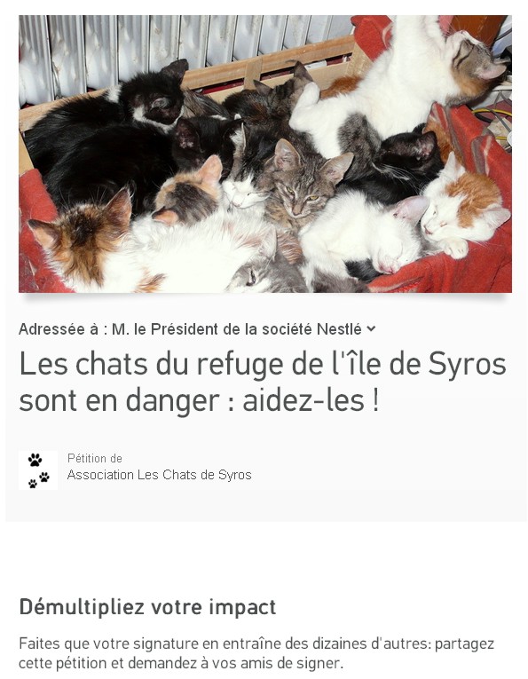 Les chats du refuge de l'île de Syros sont en danger ... Syros10