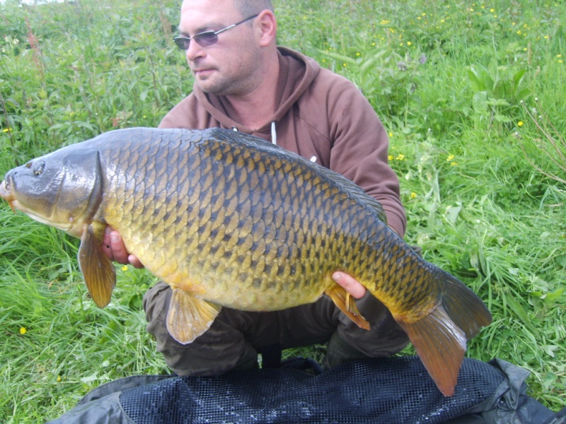 36h dans l'étang du poisson rouge S8300815