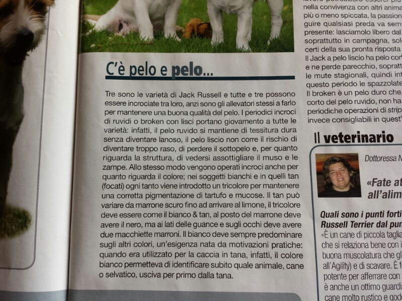 jack russell in prima pagina! Img_2040