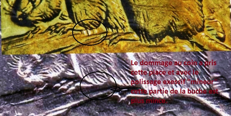 1977 - Dommage sous ventre du castor (Die Damage under Bvr's) 11111110