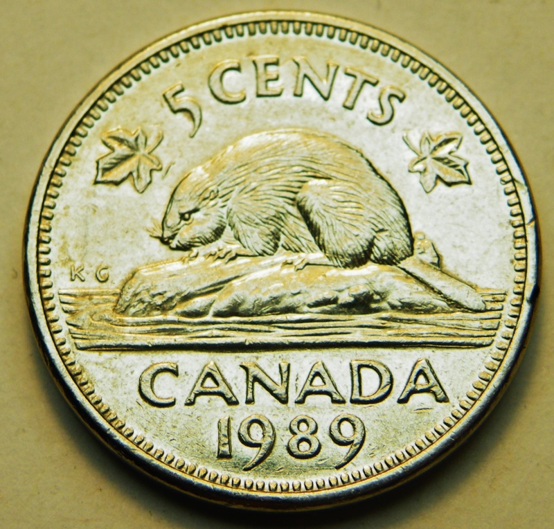 1989 - Coin Détérioré & Décalé (Doublure) Avers & Revers Dscf5128