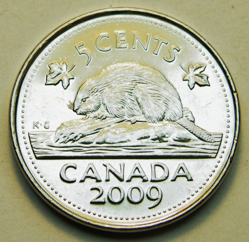 2009 - Éclat de Coin, cAnada, Feuille de Gauche & Queue Castor (Die Chip) Dscf5224