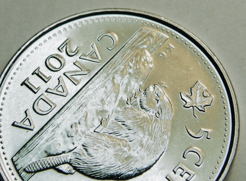 2011 - Éclat de Coin, Feuille Gauche # 2 (Die Chip Left Leaf ) Dscf5521