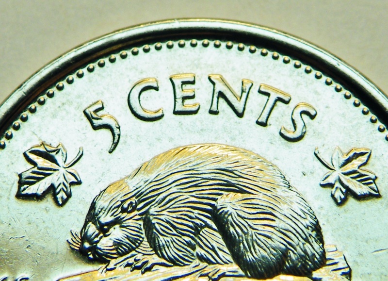 2002P - Éclats de Coins, Feuille,5,N,S,A (Die Chips, Leafs,5,N,S,A) Dscf6210