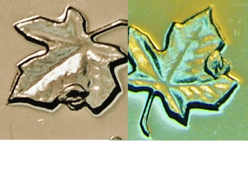 2011 - Éclat de Coin, feuille gauche # 1 (Die Chip Left Leaf) Prasen11