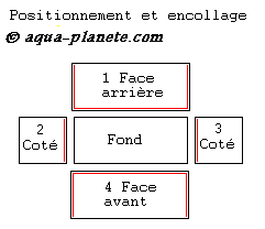 changer de vitre  Constr10