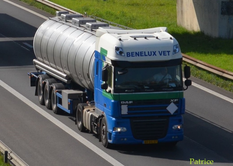 Benelux Vet  (Dronten) 54pp11