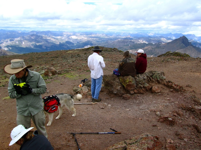 Hundestars in den Rocky Mountains (4363m) Uncomp24