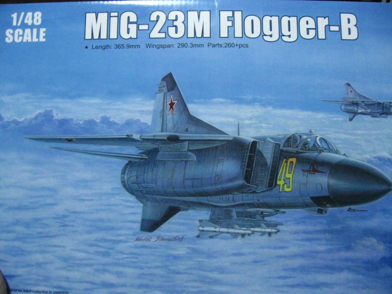 [résolu]F 14 tomcat  hasegawa 1/48 .ca se precise! - Page 2 02122