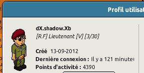 [Rapport d'activité] dX.shadow.Xb [C.M] 1111