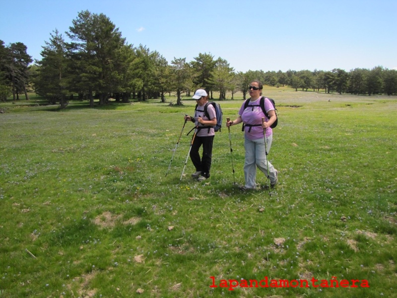 20140517 - GUADARRAMA - RUTA DE LAS 9 FUENTES DE SAN RAFAEL 05411