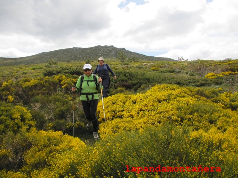 20140524 - GUADARRAMA - RUTA AL CHORRO GRANDE DE LA GRANJA 05712