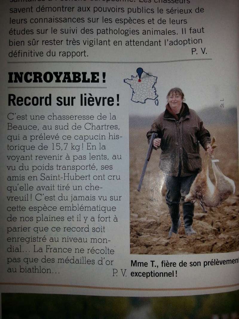 Lièvre record  20140310