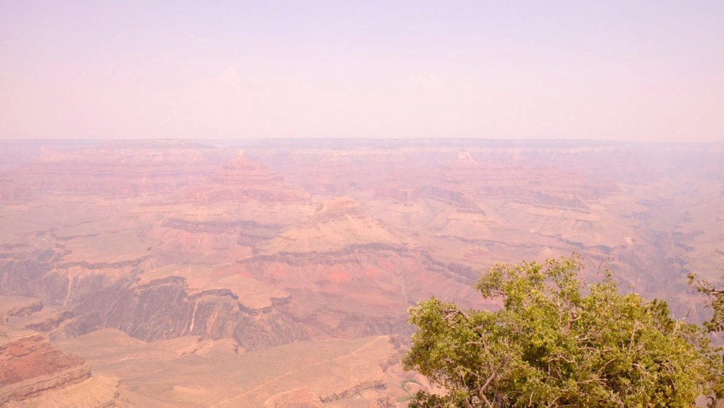 Le 07.06.2018 Flagstaff.Le Grand Canyon.... Dscf0119