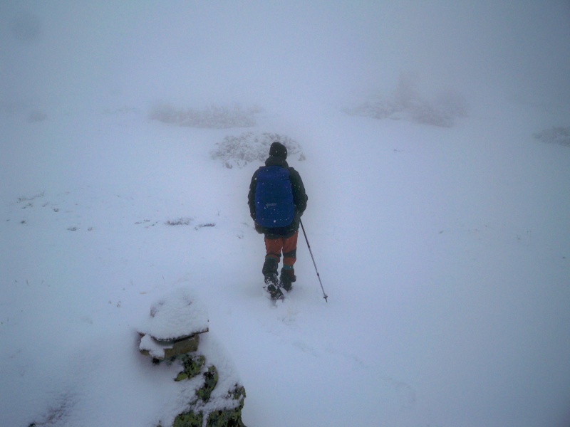 Senderismo invernal: domingo 17 de noviembre 2013 - Pico Merino (Sª de Ayllón) 009_ma10