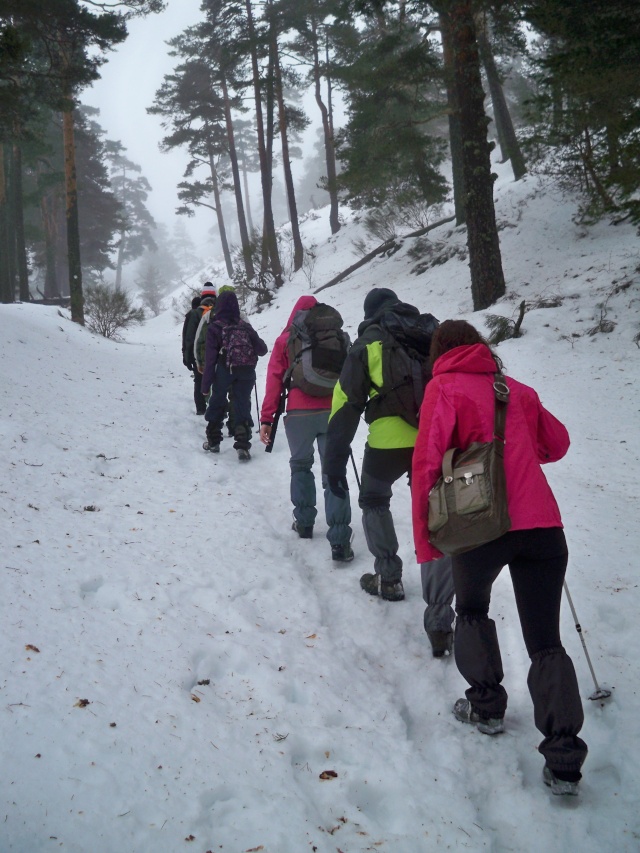 Senderismo invernal: sábado 25 de enero 2014 - Cerro Minguete 014_ca11