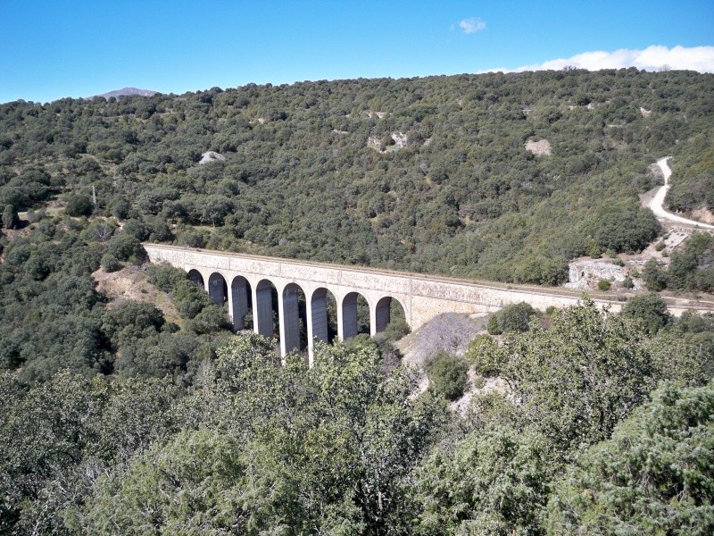 Senderismo: sábado 22 de marzo 2014 - Cañón del Guadalix 024_vi10