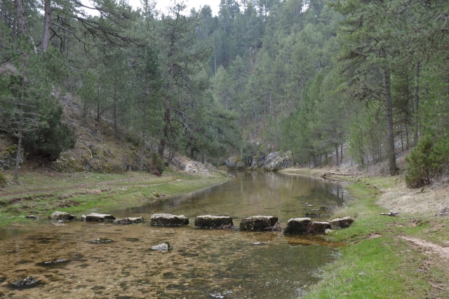 Senderismo y espeleología: 8 y 9 de febrero 2014 - Cañón del Río Lobos y Cueva de la Galiana 9911