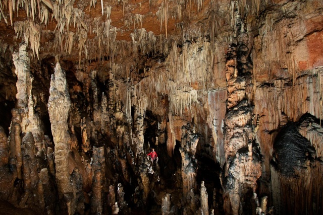 Senderismo y espeleología: 8 y 9 de febrero 2014 - Cañón del Río Lobos y Cueva de la Galiana Bb10