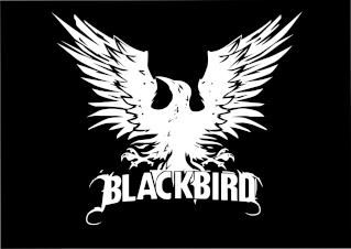 créer un forum : Black Bird 300_dp11