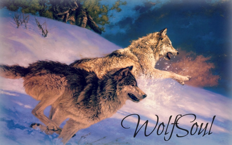 WolfSoul