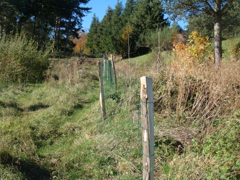 Nouveaux travaux pour cet hiver : la chèvrerie intérieure - Page 2 Dsc09617