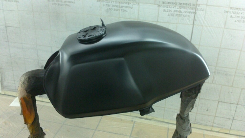 GSX 1100 ES Zorro - Page 2 Reiser13