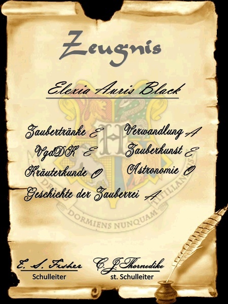 Zeugnisordner von Elexia Auris Black Zeugni14