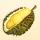 HOLLYWOOD SPETTRALE premio HABITAT DEI CANGURI PIRATA Durian10
