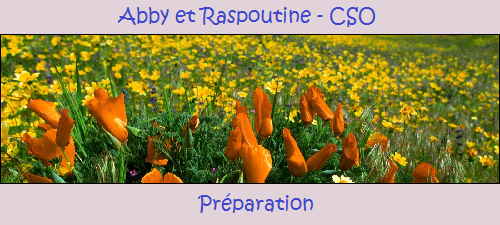 Abby et Raspoutine - CSO B10