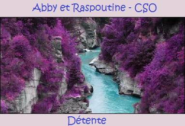 Abby et Raspoutine - CSO C10