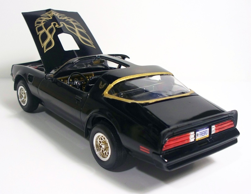 78 trans am 2013-113